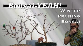 Winter Pruning Deciduous Bonsai