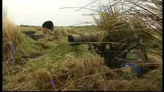 SAS - Survival Secrets: Behind Enemy Lines Scenario 1 [Full Episode]