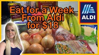 How to Eat for $18 a Week | Aldi Budget Meal Plan | Emergency Grocery Haul