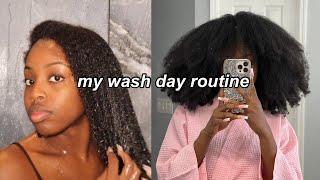 WASH DAY ROUTINE FOR MOISTURE ON THICK DRY NATURAL HAIR (type 4) ‍️