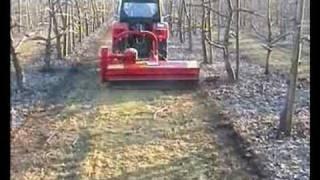 SEPPI M. - SMO - mulching prunings in orchards