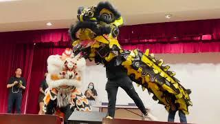 Tai Lok @ New York Chinese Community Center - Lion Dancing - Chinatown/NYC