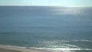 Condo Ocean views in Boca Raton FL 33432 Carolyn Boinis Boca Raton Real estate agent