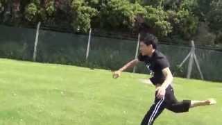 Javid freestyle martial arts