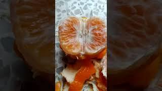 aru | aru recipe | aru cooking channel Orange bite shorts #shorts #aru