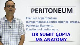 PERITONEUM Part 1