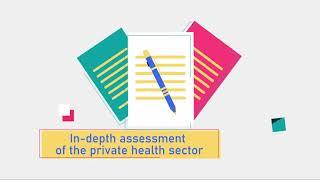 The Role and Potential of the Private Health Sector in the Eastern Mediterranean Region