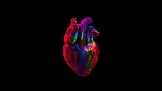 [FREE] Deep House x Reggaeton Type Beat - "HEART" | Feduk Type Beat 2023