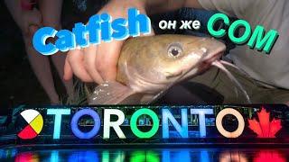 Ловим сома в Торонто | Поклёвка каждые 2 минуты | Catfish | Toronto | Ontario