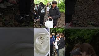 From Egg to River: NPS Releases Trout into Silvermine River
