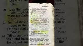 Proverbs 7:1-27 My Son , keep my words