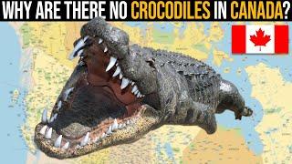 Why Are There No Crocodiles In Canada?