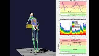 Ergonomic analysis