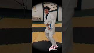 Warriors Dojo Tik Tok Trends #karate #shotokan