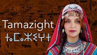 About the Berber/Tamazight languages