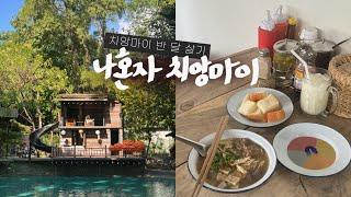 나 혼자 치앙마이 여행vlog맛있어서 또간집 • 학식 맛집, 노을 맛집 치앙마이 대학교사진 잘 나오는 핫플들 : 반캉왓, no39 • 태국, 나 혼자 치앙마이 보름살기(5)끝