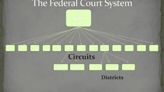 The Court System