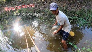 Kích Cá Trúng Cái Mương Cỏ Cá Dữ Lắm Bắt Đã Tay Luôn | Kích Cá Miền Tây | Catch Fish