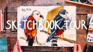 3 Years Of Artistic Growth: Sketchbook Tour & Progress