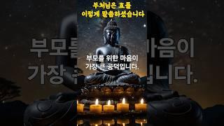 부처님은 효를 이렇게 말씀하셨습니다. #youtube #부처님말씀 #마음공부 #좋은글