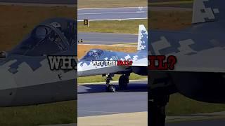 Does The Su-57 Fighter Jet Really Have Exposed Screws? #Su57 #MilitarySecrets