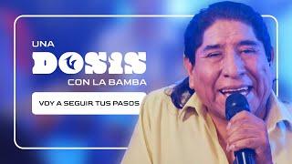 UNA DOSIS CON... LA BAMBA - Voy a seguir tus pasos