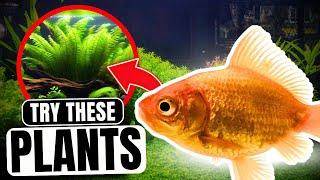 The 7 Best Plants For Goldfish (Aquarium Plant Guide)