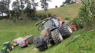 Maize chopping with Valtra N174 | Aebi TP 460 | Kemper C3000