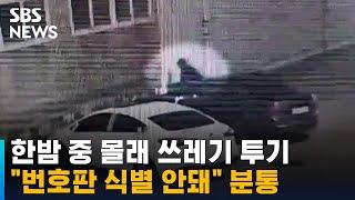 한밤 중 차 끌고 쓰레기 투기…"번호판 식별 안돼" 분통 / SBS / 오클릭