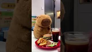 It's a big burger lunch for capybara today! #capybara #cute #healing #funnyanimals #burger