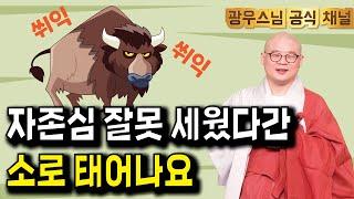 소로 태어날수는 없잖아요 | 광우스님 소나무법문시즌3 170회