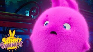 SUNNY BUNNIES - Nightmare Glow | Season 1 | Cartoons for Kids