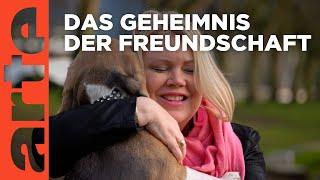 Freundschaft - Ein bewegtes Forschungsfeld | Doku HD | ARTE