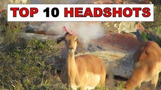 10 Incredible Hunting Headshots