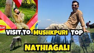 Paradise on earth best place to visit #travelvlog #travelphotography @Moheedkhan-bi6tf