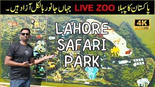 Lahore Safari Park in 4K | Best Experience of Wildlife | Safari Park Lahore | Travel with Umar #zoo