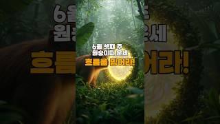 [골목점집 운세]  원숭이띠 이번 주 운세｜기회가 다가오는 시기?