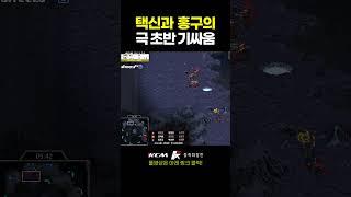 택신의 질럿 vs 홍구의 저글링