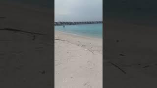 md rahmat Ansari short video
