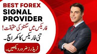 Tani Forex live interview about best signals service of crypto, gold and currencies free and paid