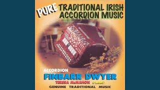John Dwyer's/Paddy Taylor's