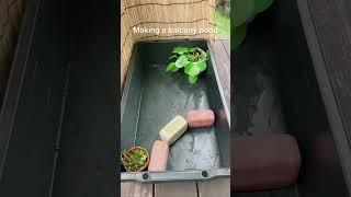 Small Balcony Pond Ideas - How to Build a Small Pond with Rice Fish and Aquatic Plants