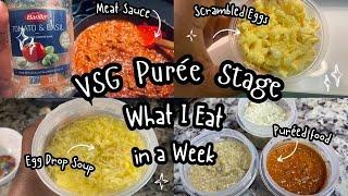 Puree Stage | Post-Op Diet Meal Prep | VSG Journey | Gastric Sleeve | Bariatric Surgery