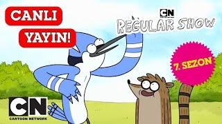 CANLI  SÜREKLİ DİZİ | 7. Sezon Tüm Bölümler | Cartoon Network Türkiye