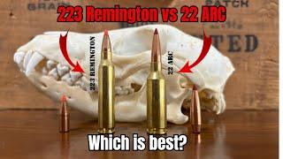 22 ARC vs 223 Remington: Which is the best AR hunting round?