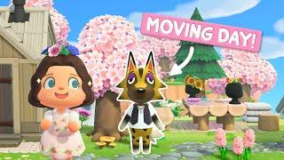 Decorating My Final Villager Yard! | Animal Crossing New Horizons