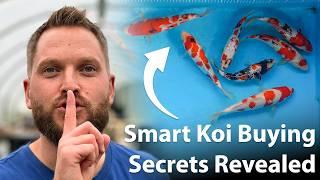 How to Choose Top Quality Gosanke Koi Without Breaking the Bank