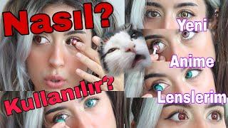 İLK DEFA LENS KULLANACAKLAR | LENS APARATLA NASIL TAKILIR? COLEYES ANİME LENSLERİ