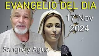 Evangelio Del Dia Hoy - Domingo 17 Noviembre 2024- Sangre y Agua