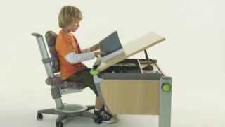 moll Runner Ergonomic Study Table for Children